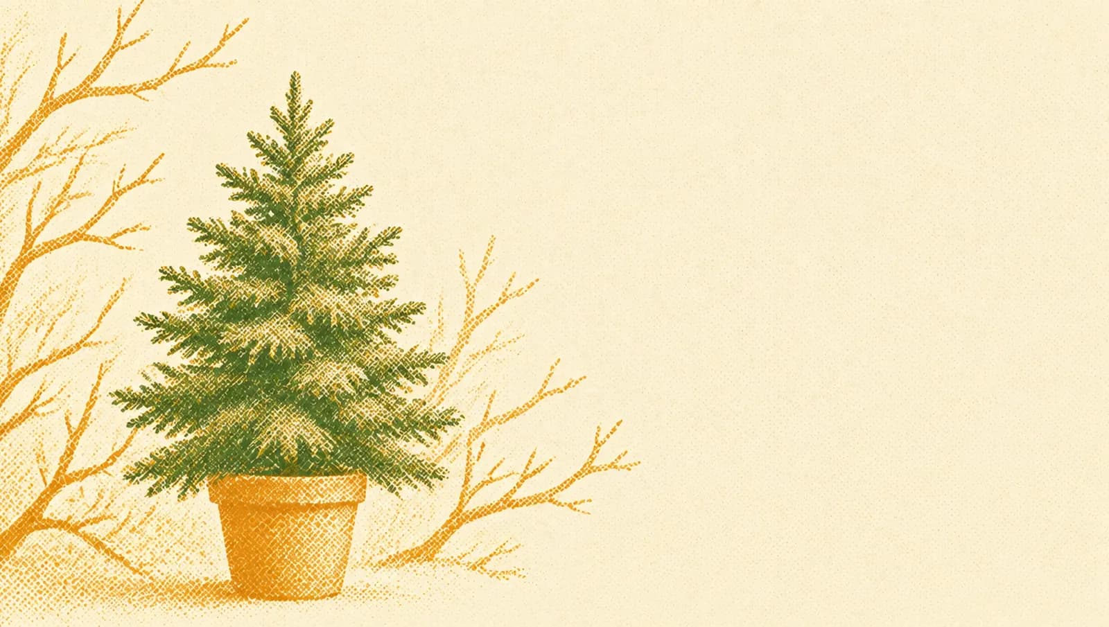 Illustrazione in toni ocra: un piccolo pino sempreverde in vaso, pieno e verde, tra rami invernali spogli.